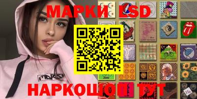мяу мяу мука Кандалакша