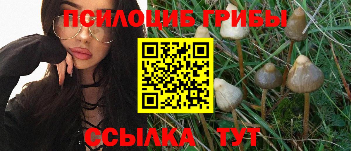 Псилоцибиновые грибы прущие грибы  Вход с VPN  Феодосия 
